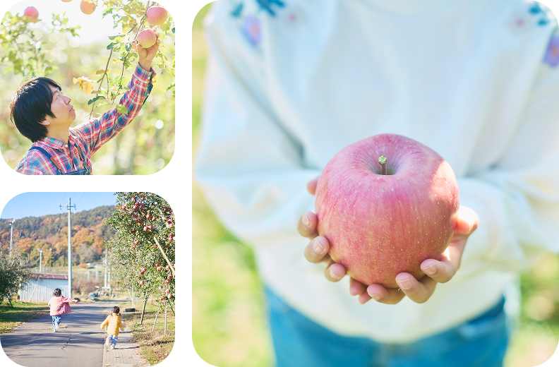 ナナマル果樹園の日々